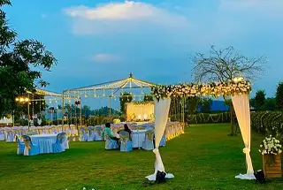 Party Lawn